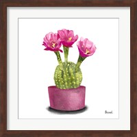 Cactus Flowers V Fine Art Print