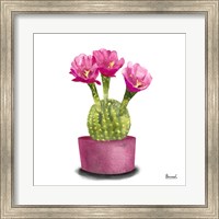 Cactus Flowers V Fine Art Print