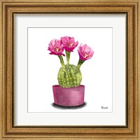 Cactus Flowers V Fine Art Print