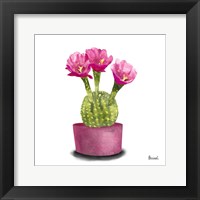 Cactus Flowers V Fine Art Print