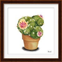 Cactus Flowers VII Fine Art Print
