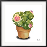 Cactus Flowers VII Fine Art Print