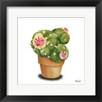 Cactus Flowers VII Framed Print
