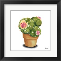 Cactus Flowers VII Fine Art Print