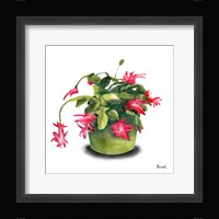 Cactus Flowers VIII Framed Print