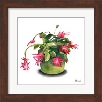 Cactus Flowers VIII Fine Art Print