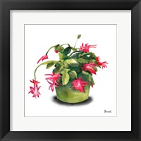 Cactus Flowers VIII Fine Art Print