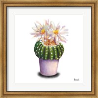 Cactus Flowers IX Fine Art Print