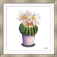 Cactus Flowers IX Fine Art Print