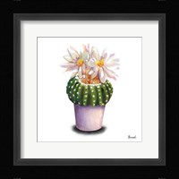 Cactus Flowers IX Framed Print