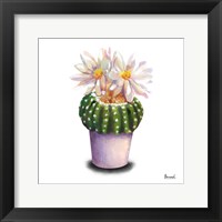 Cactus Flowers IX Framed Print