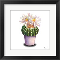 Cactus Flowers IX Fine Art Print
