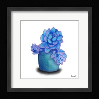 Turquoise Succulents I Framed Print