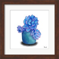 Turquoise Succulents I Fine Art Print