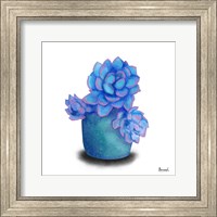 Turquoise Succulents I Fine Art Print