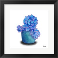 Turquoise Succulents I Fine Art Print