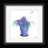 Turquoise Succulents II Framed Print