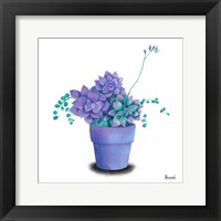 Turquoise Succulents II Fine Art Print