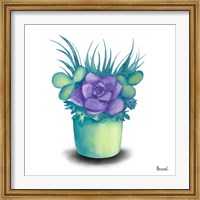 Turquoise Succulents III Fine Art Print