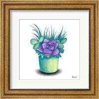 Turquoise Succulents III Fine Art Print