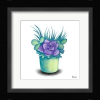 Turquoise Succulents III Framed Print
