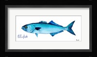 Life of the Big Blue III Framed Print