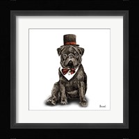 Pugs in Hats III Framed Print