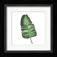 Leaves of the Tropics I Framed Print