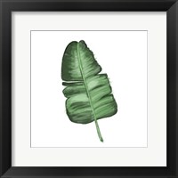 Leaves of the Tropics I Framed Print