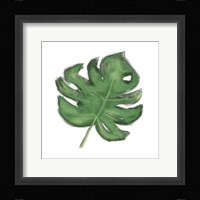 Leaves of the Tropics II Framed Print
