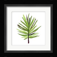 Leaves of the Tropics III Framed Print