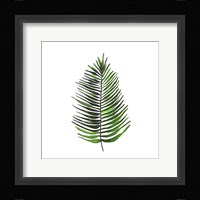 Leaves of the Tropics IV Framed Print