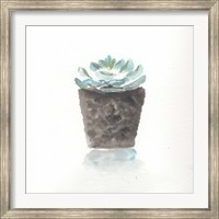 Watercolor Cactus Still Life I Fine Art Print
