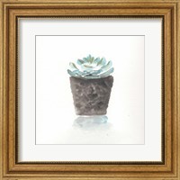 Watercolor Cactus Still Life I Fine Art Print