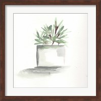 Watercolor Cactus Still Life IV Fine Art Print