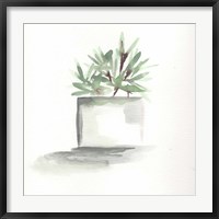 Watercolor Cactus Still Life IV Fine Art Print