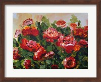 Red Poppies Garden Fine Art Print