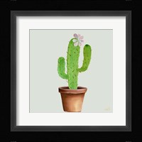 Succulent Symphony I clean Framed Print