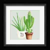 Succulent Symphony II clean Framed Print