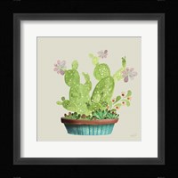 Succulent Symphony III clean Framed Print