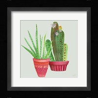 Succulent Symphony IV clean Framed Print