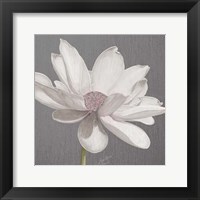 Vintage Lotus on Grey I Fine Art Print