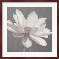 Vintage Lotus on Grey I Fine Art Print