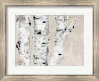 Birch Tree Close Up Neutral Fine Art Print