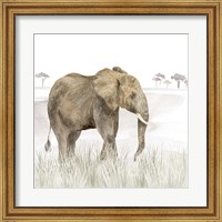 Serengeti Elephant Square Fine Art Print