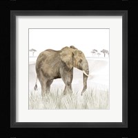 Serengeti Elephant Square Framed Print