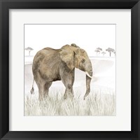Serengeti Elephant Square Framed Print