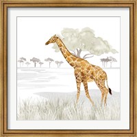 Serengeti Giraffe Square Fine Art Print