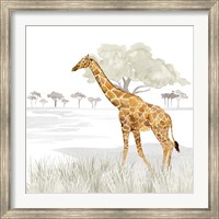 Serengeti Giraffe Square Fine Art Print