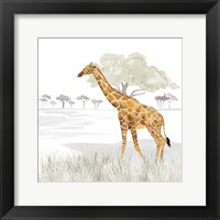 Serengeti Giraffe Square Framed Print